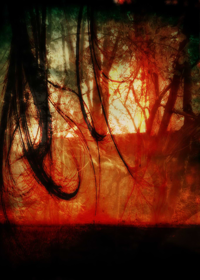 Born at Dawn
