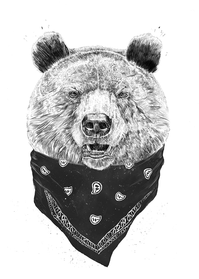Wild bear