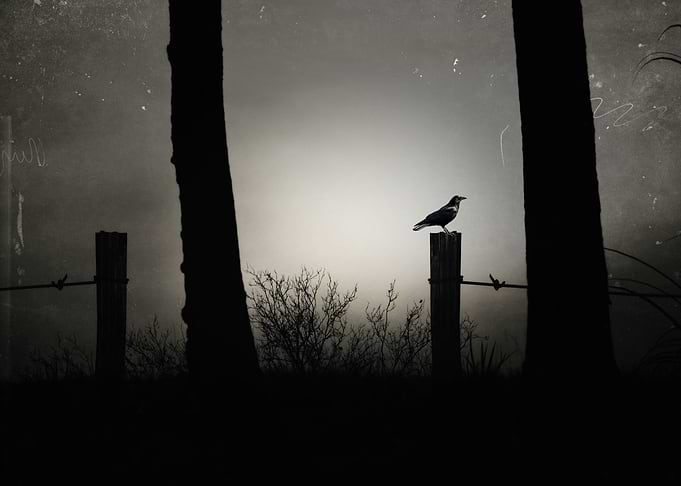 By chrissie Judge