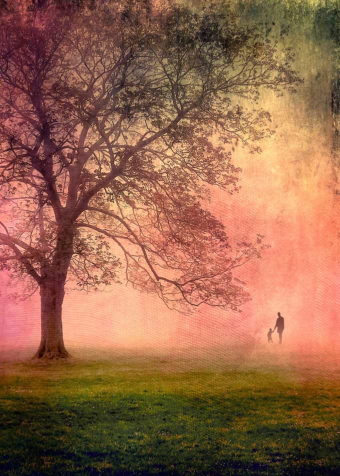 Evening Stroll