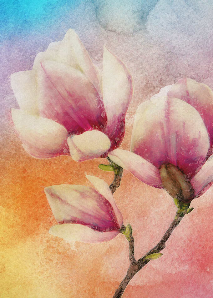 Gentleness