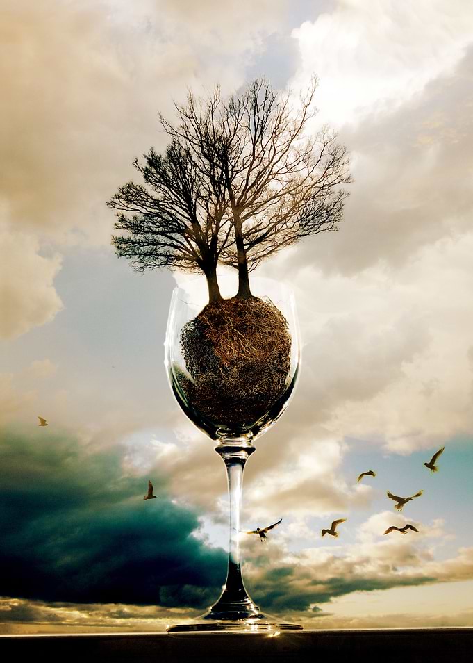 Glass Of Trees
