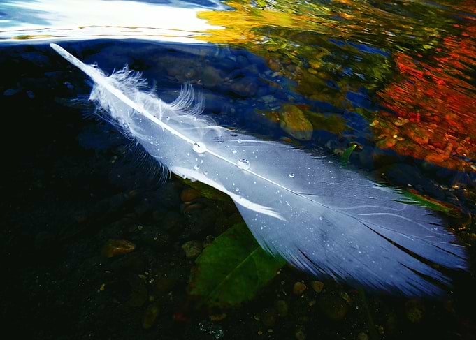 Lighter Than Water Photograph 2012
