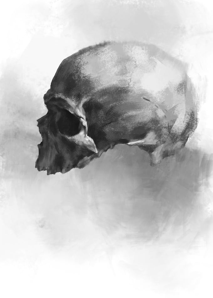 skull