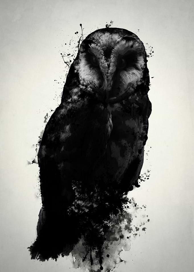 The Owl