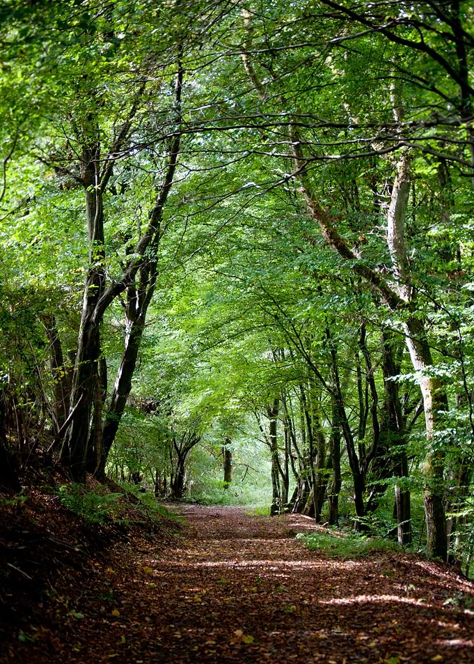 'Sometimes the paths we choose lead us to extraordinary ...