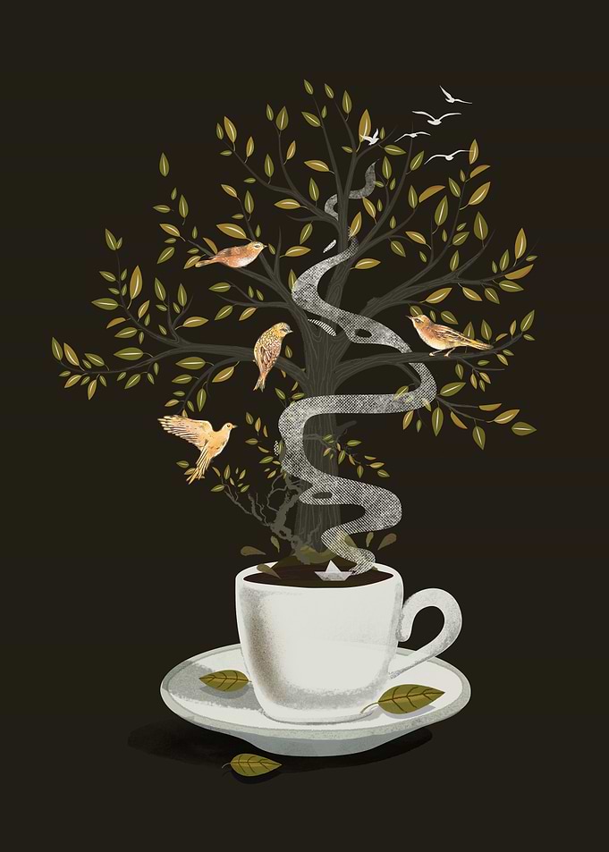A Cup of Dreams