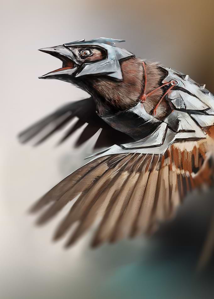 warsparrow