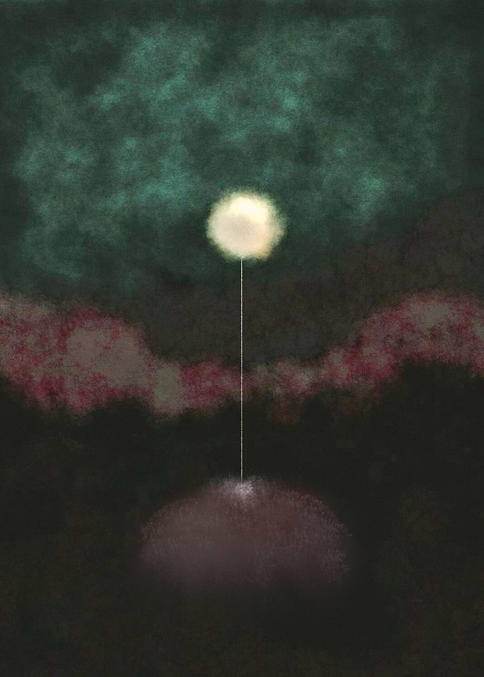 This is a solitary flower at midnight, silently thinkin ...