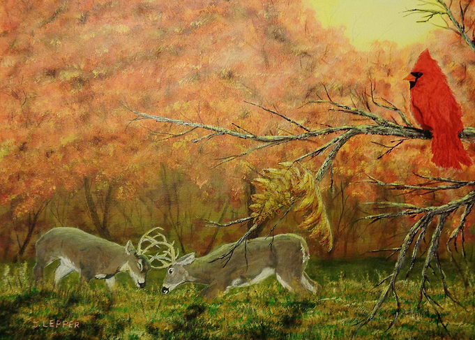 'Nature's Witness' by Jack Lepper