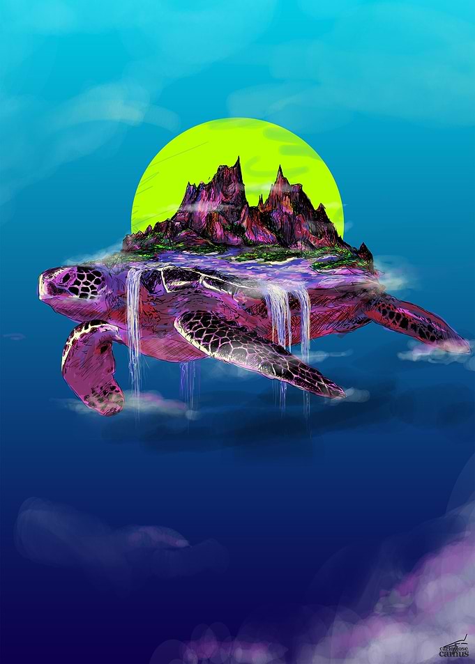 Turtle Paradise