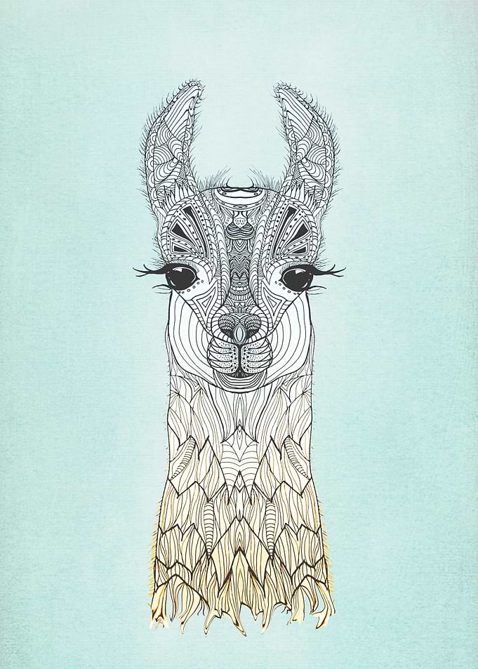 BABY LAMA BY MONIKA STRIGEL