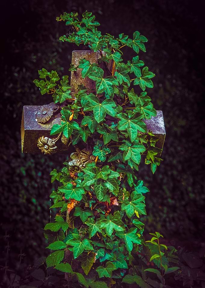 Nature On The Cross