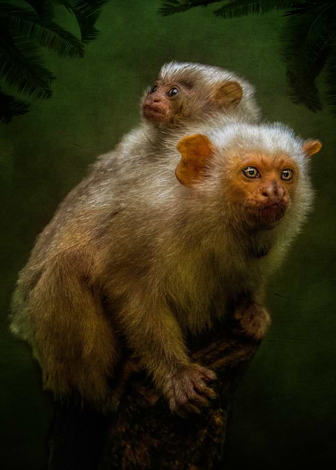 Mother and Child