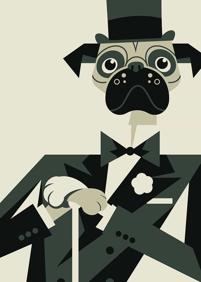 Pug Astaire