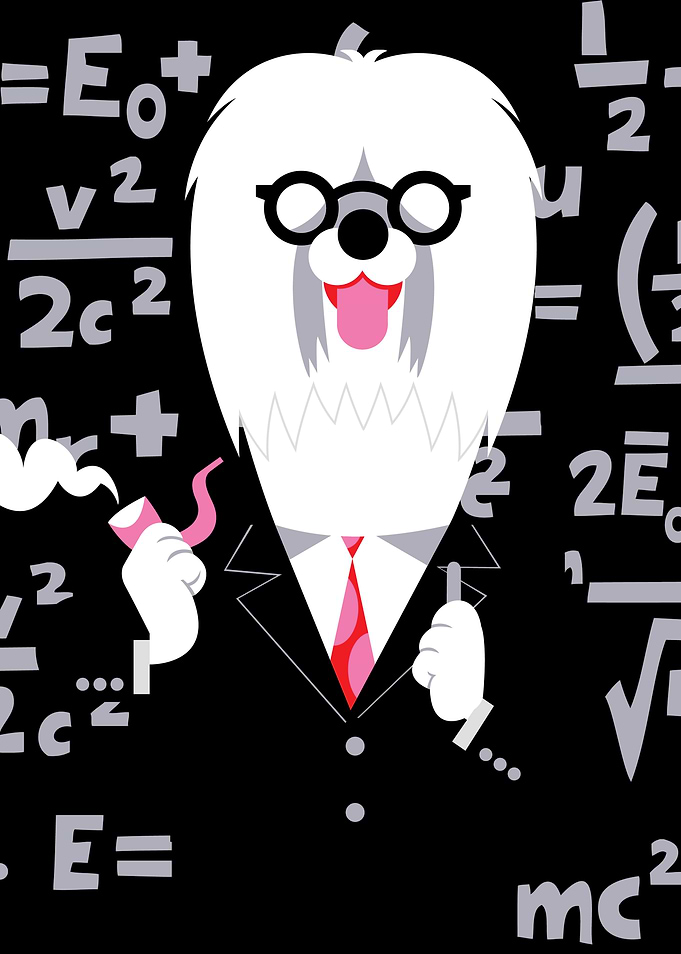 Professor Sheepdog