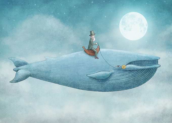 Whale Rider