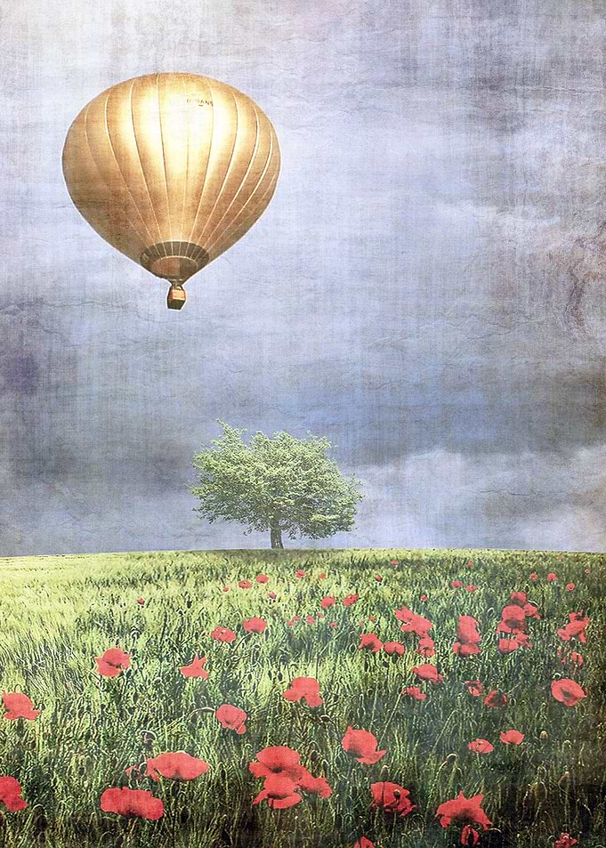 One Summer