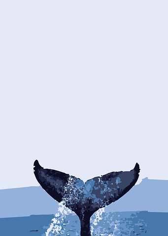 BlueWhale