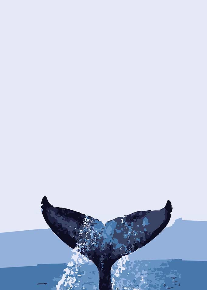 BlueWhale