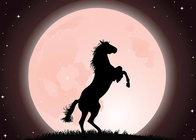 Moon Rider