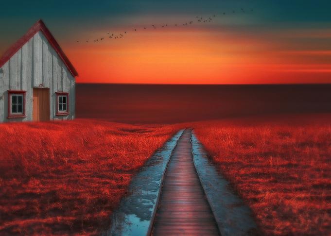 The little White cottage By Chrissie Judge