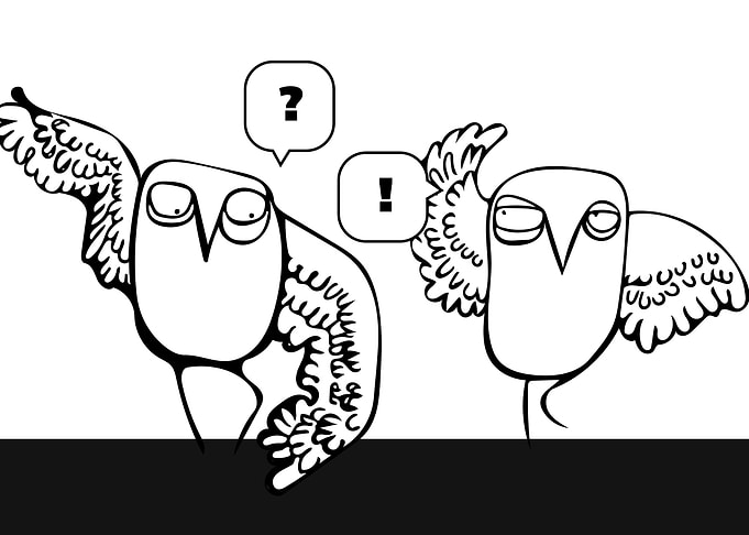 Two owls
