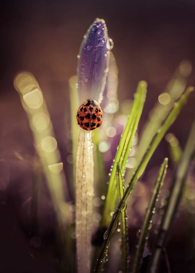 In the morning rain