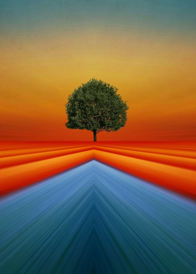 All You imagine is real By chrissie Judge