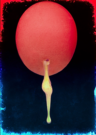 Hole in the egg