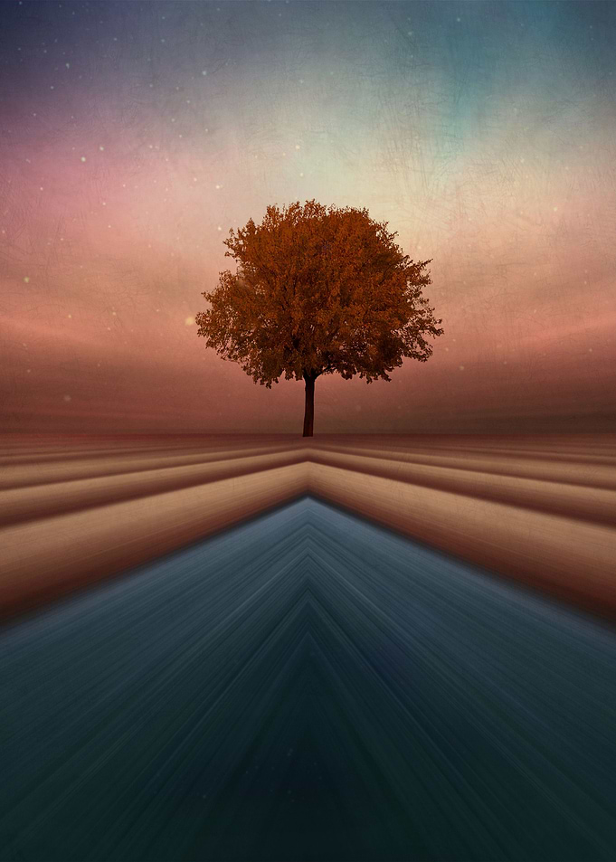 By chrissie Judge