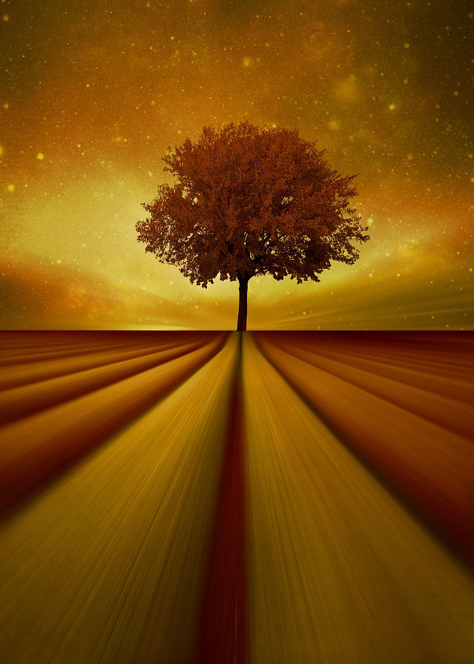 By chrissie Judge