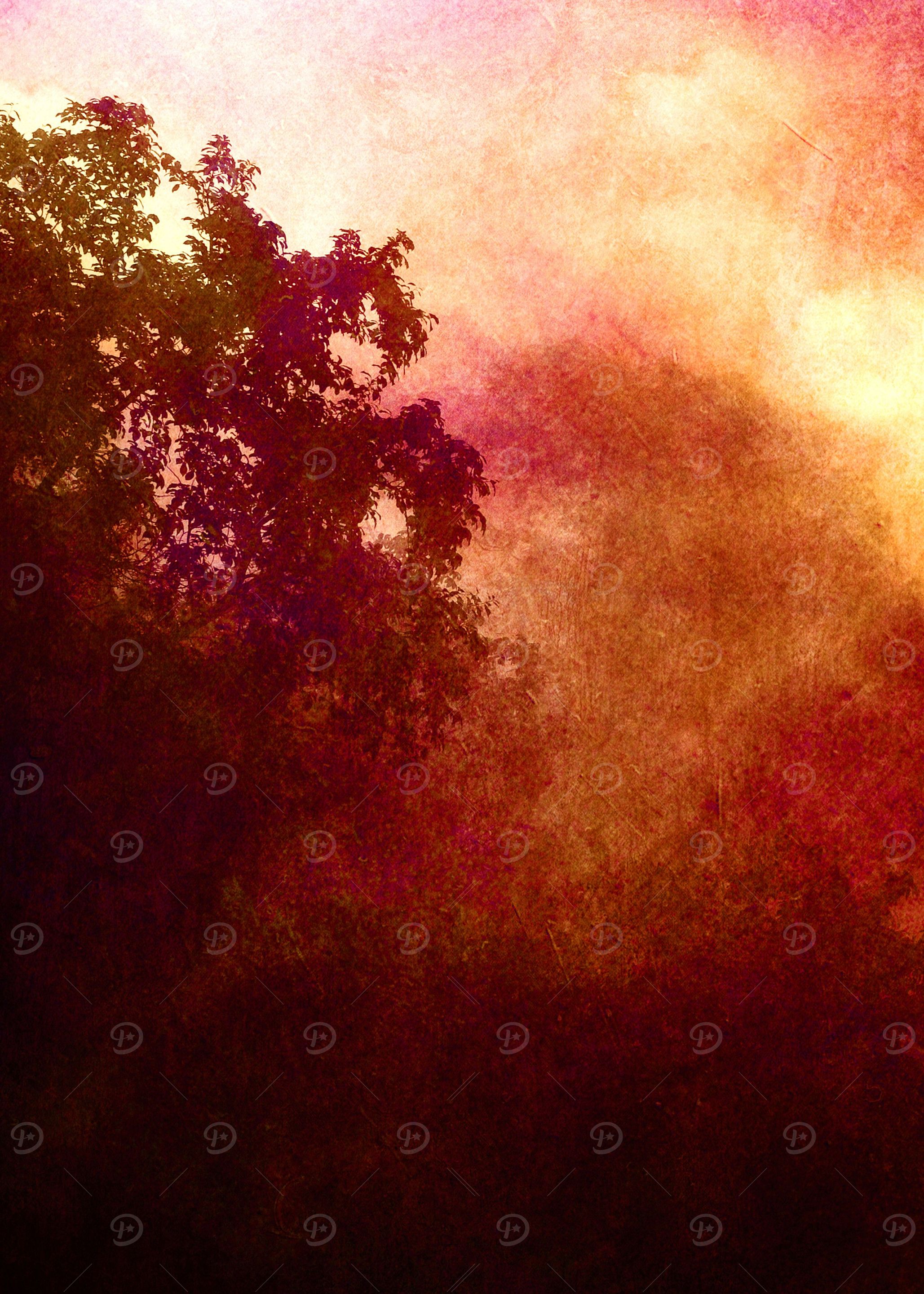 A Mid-Summer's Evening