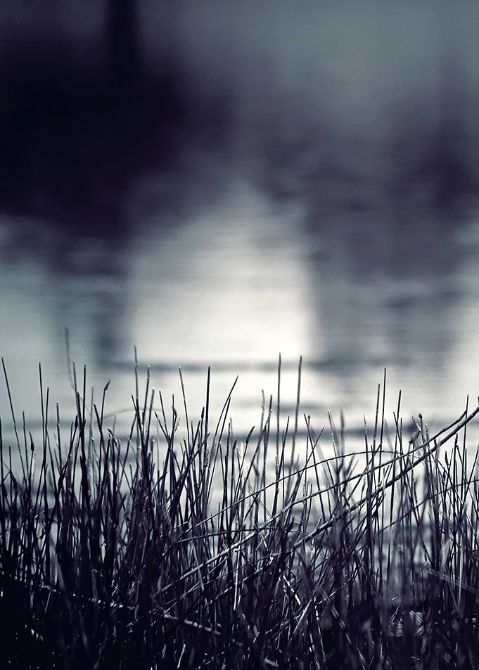 Between the Waters