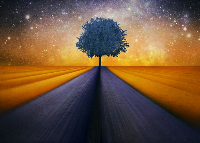 by chrissie Judge