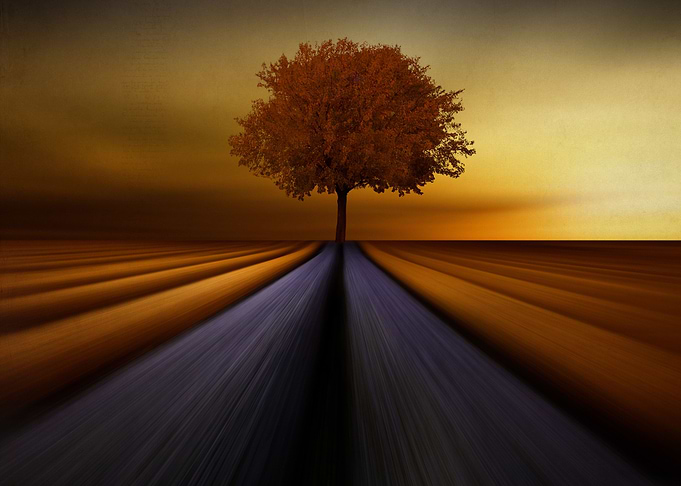 By chrissie Judge