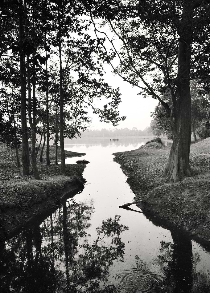 Walk. Photography.