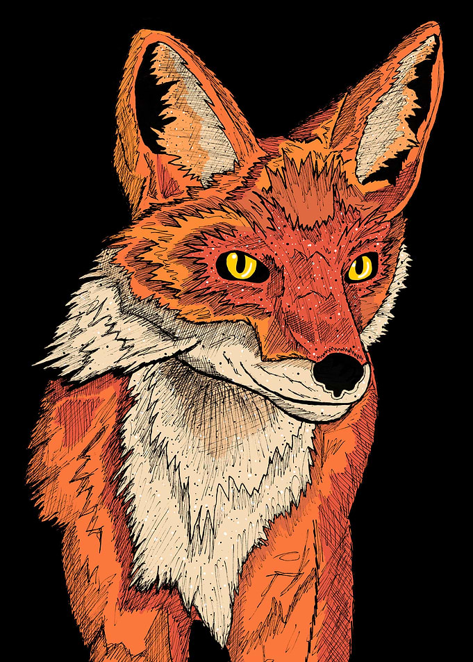 Mr Fox