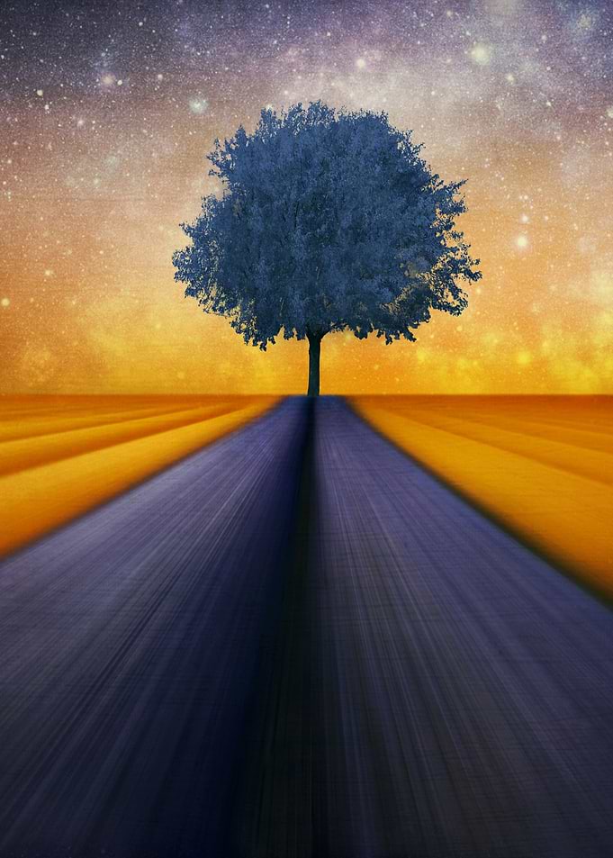 the little blue tree By chrissie Judge