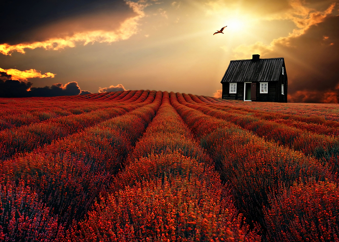 The little black House by chrissie Judge