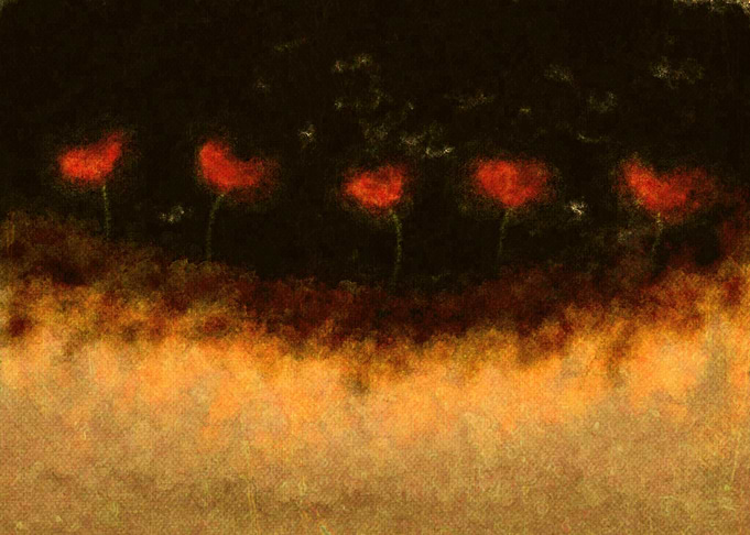 Poppies