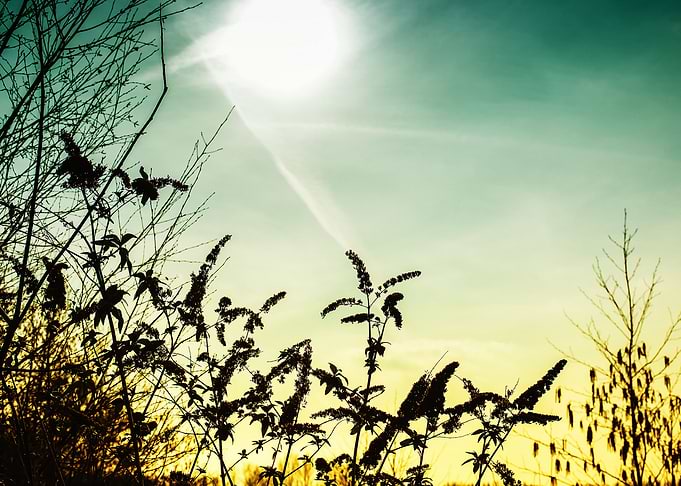 Sense of spring