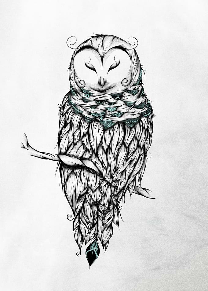 Poetic Snow Owl