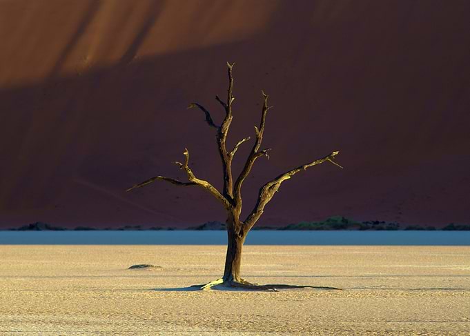 sunrise in Deadvlei (Namibia)