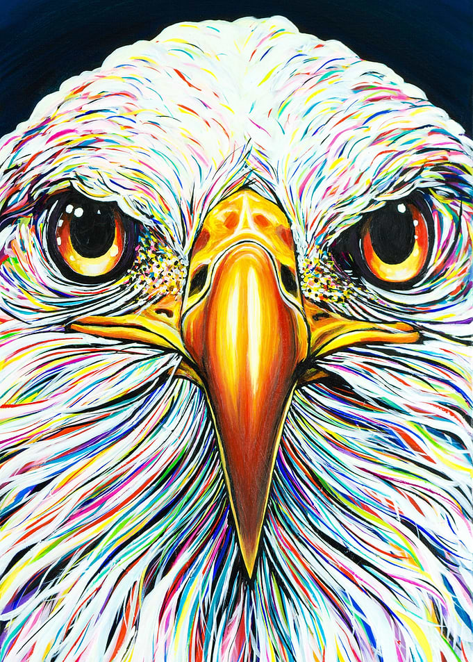 'Freedom' - The American Bald Eagle with a colorful twi ...
