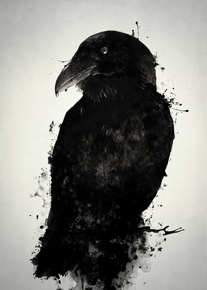 The Raven