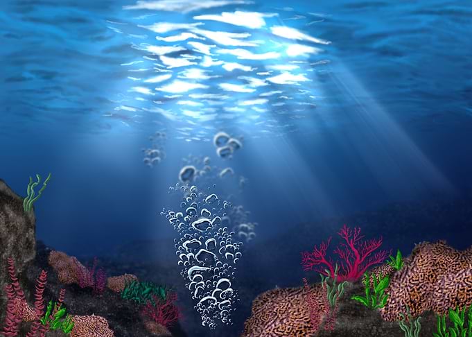 An underwater environment with water life and some ligh ...