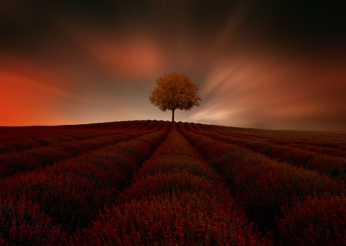 by chrissie Judge