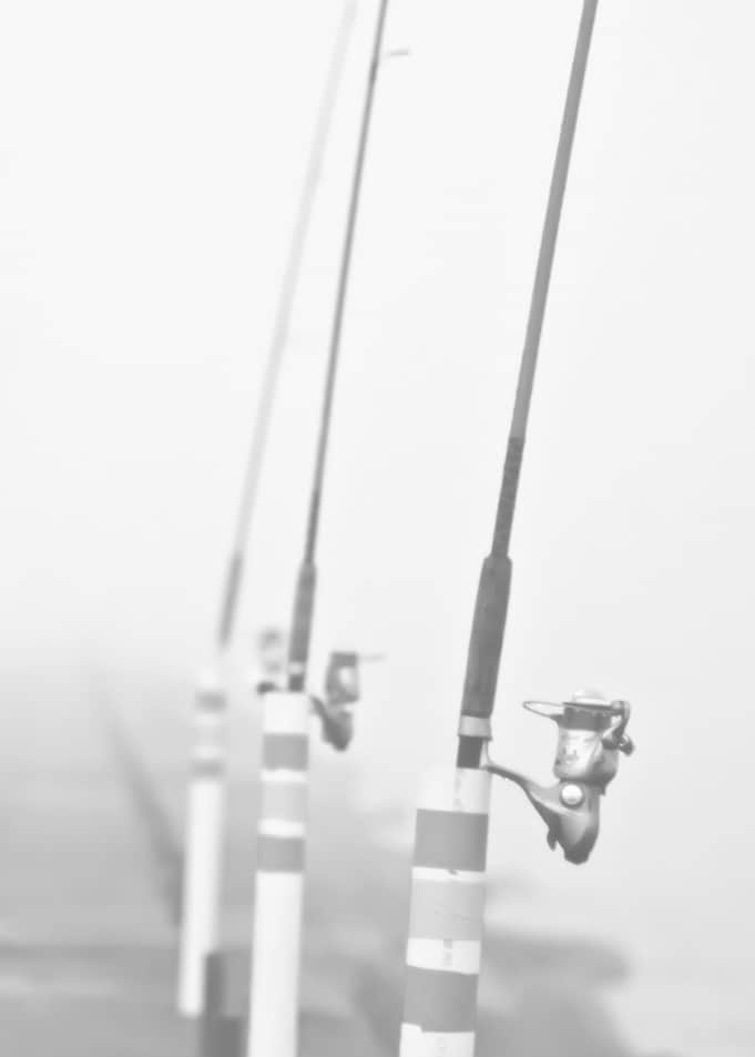 Fishing poles of Muskegon, Pier