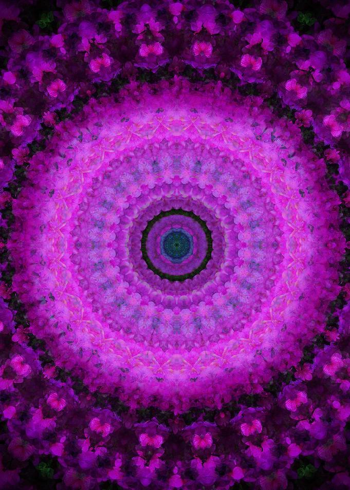 Pink mandala with flowers motiff